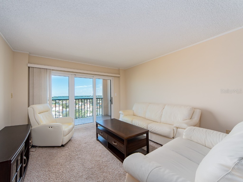 51 Island Way #1001 Clearwater Beach FL 33767 TB8440770 image13