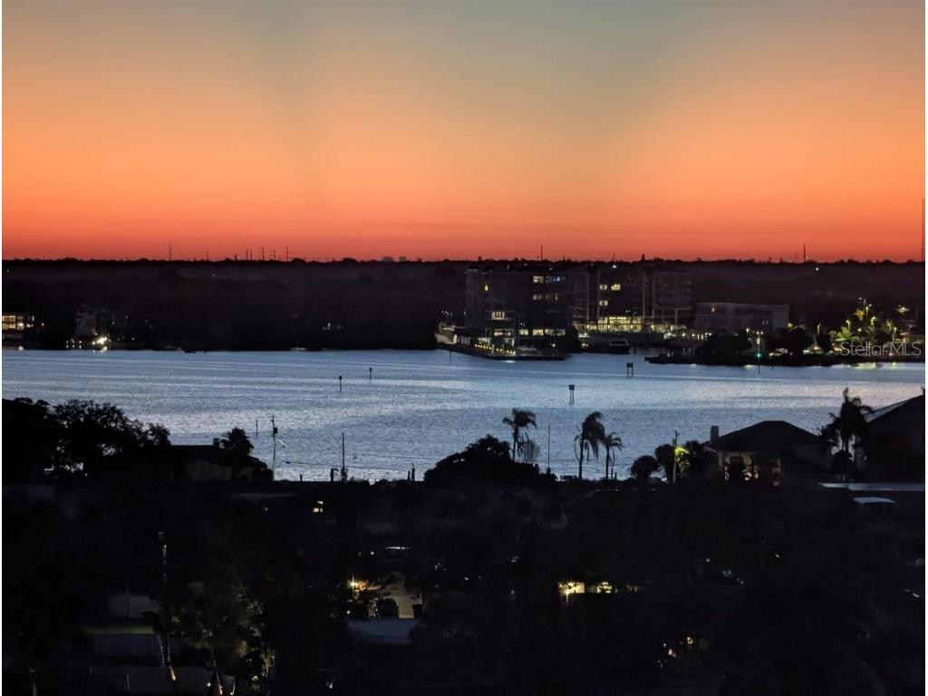 51 Island Way #1001 Clearwater Beach FL 33767 TB8440770 image7