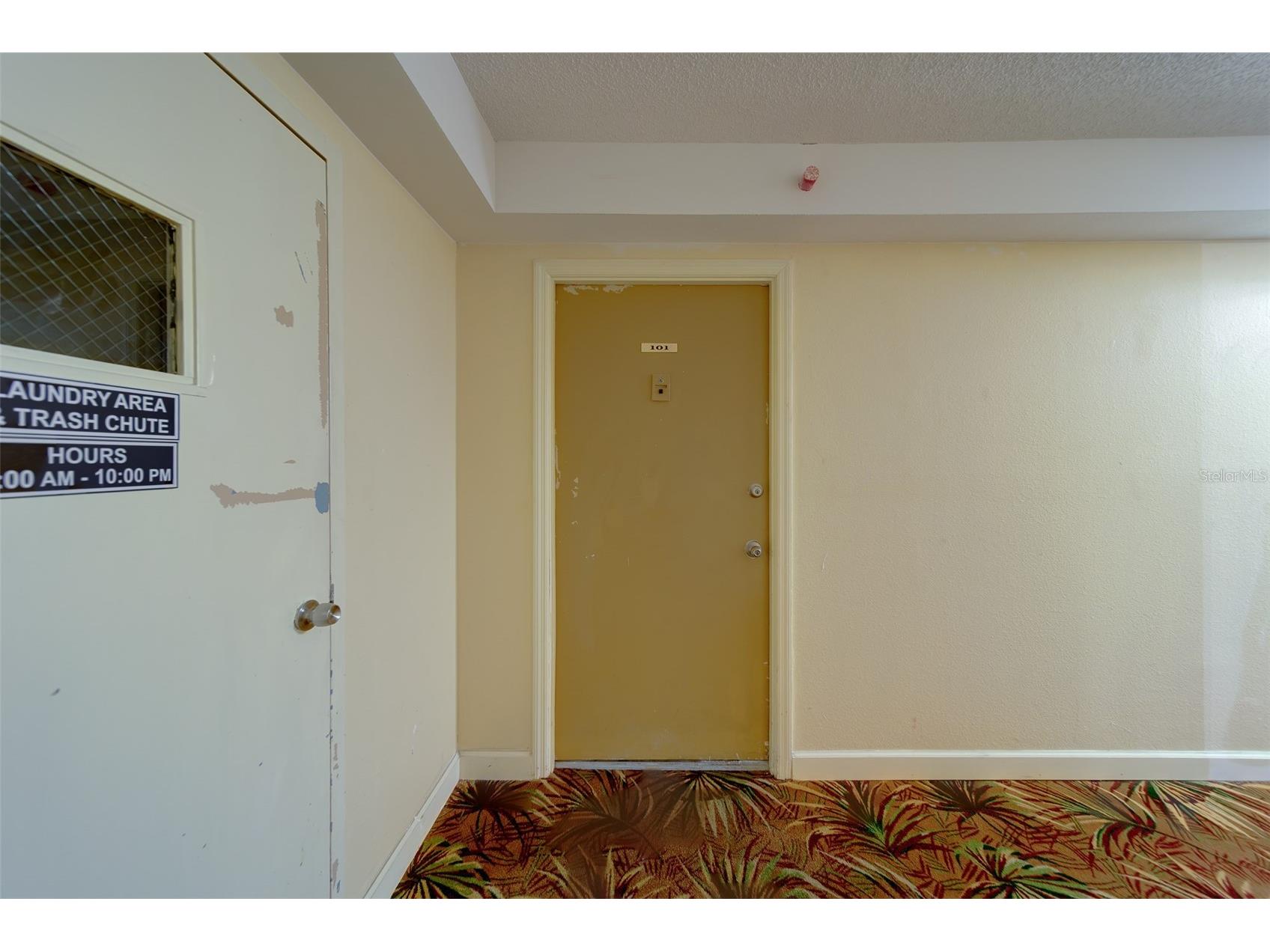 51 Island Way #101 Clearwater Beach FL 33767 TB8496231 image64