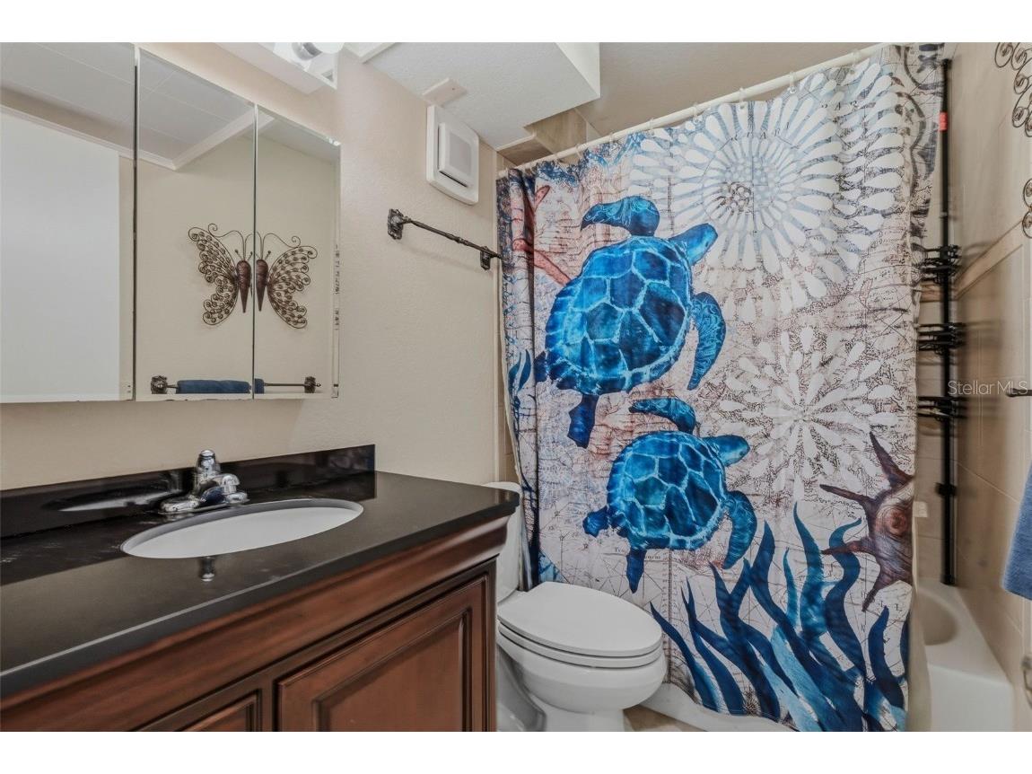 51 Island Way #311 Clearwater Beach FL 33767 TB8456034 image20