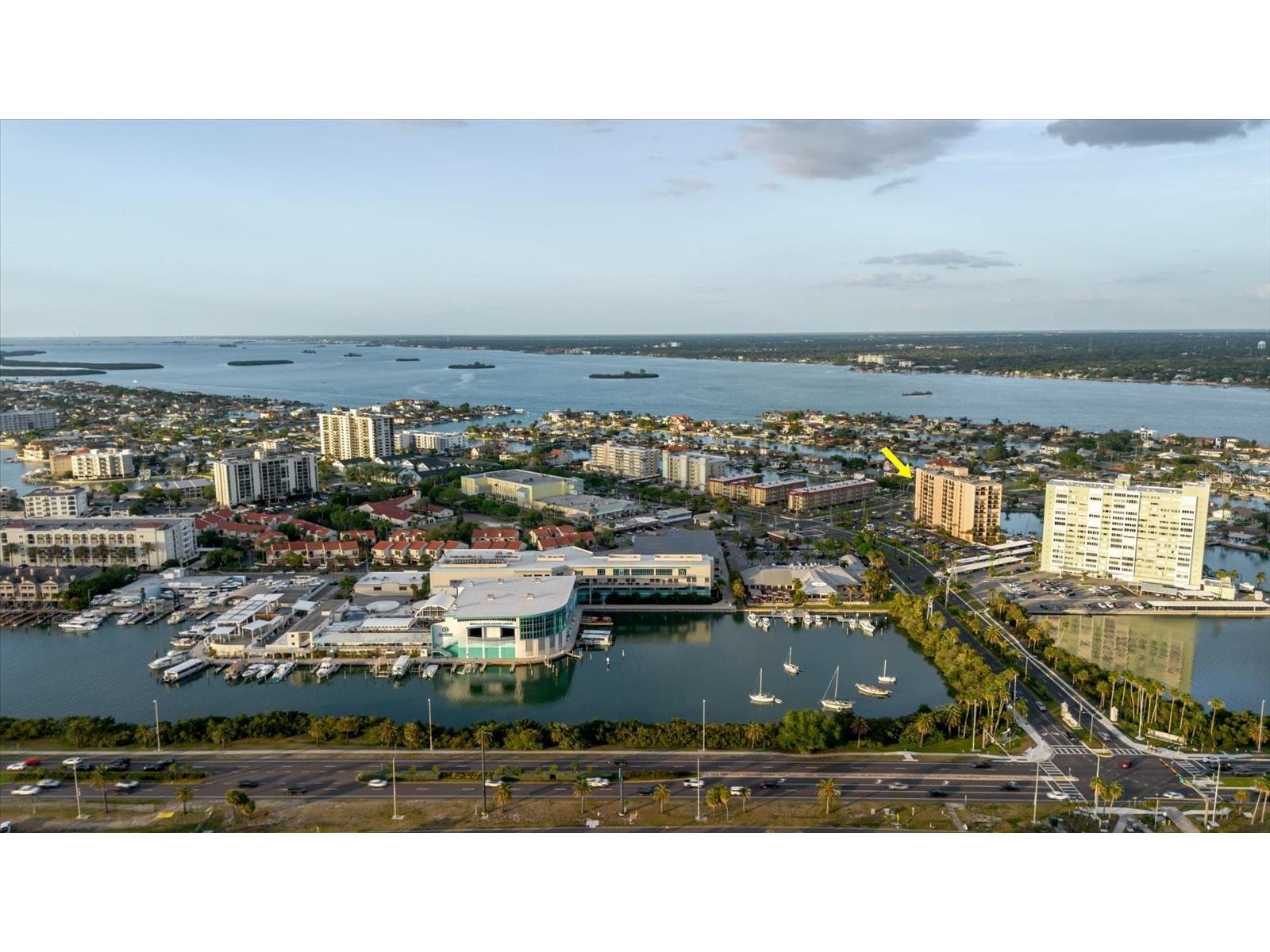 51 Island Way #801 Clearwater Beach FL 33767 TB8496711 image1
