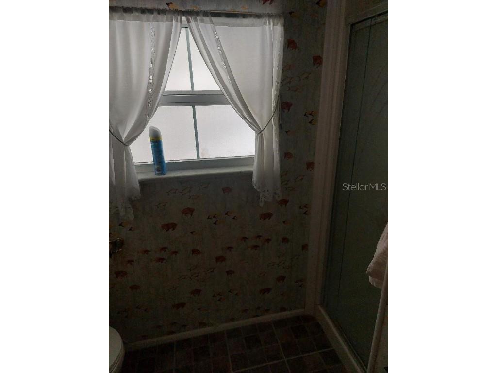 51 Lexington Court #13 Palm Harbor FL 34684 TB8389813 image14