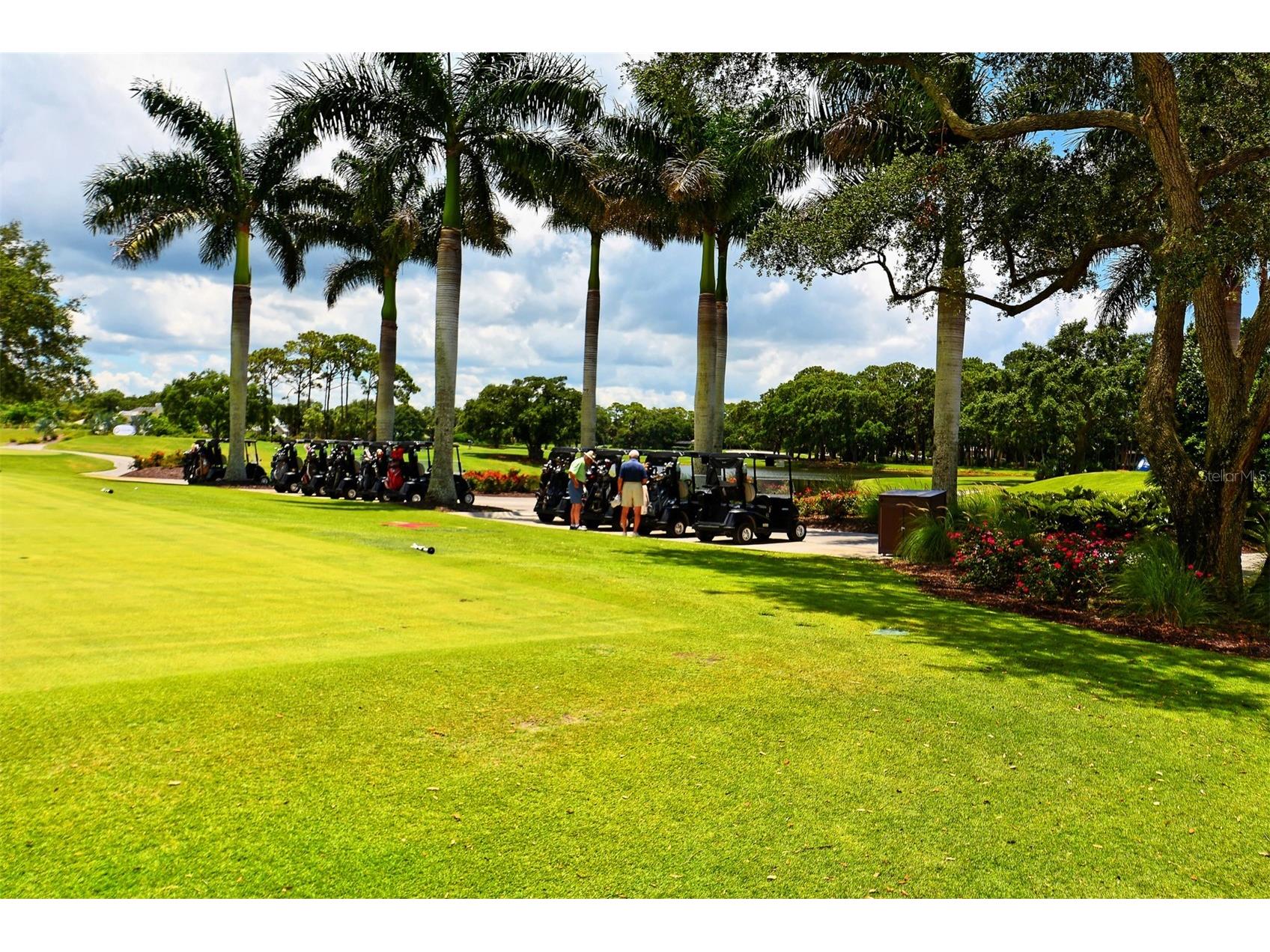 51 Macewen Drive #11 Osprey FL 34229 A4679180 image38