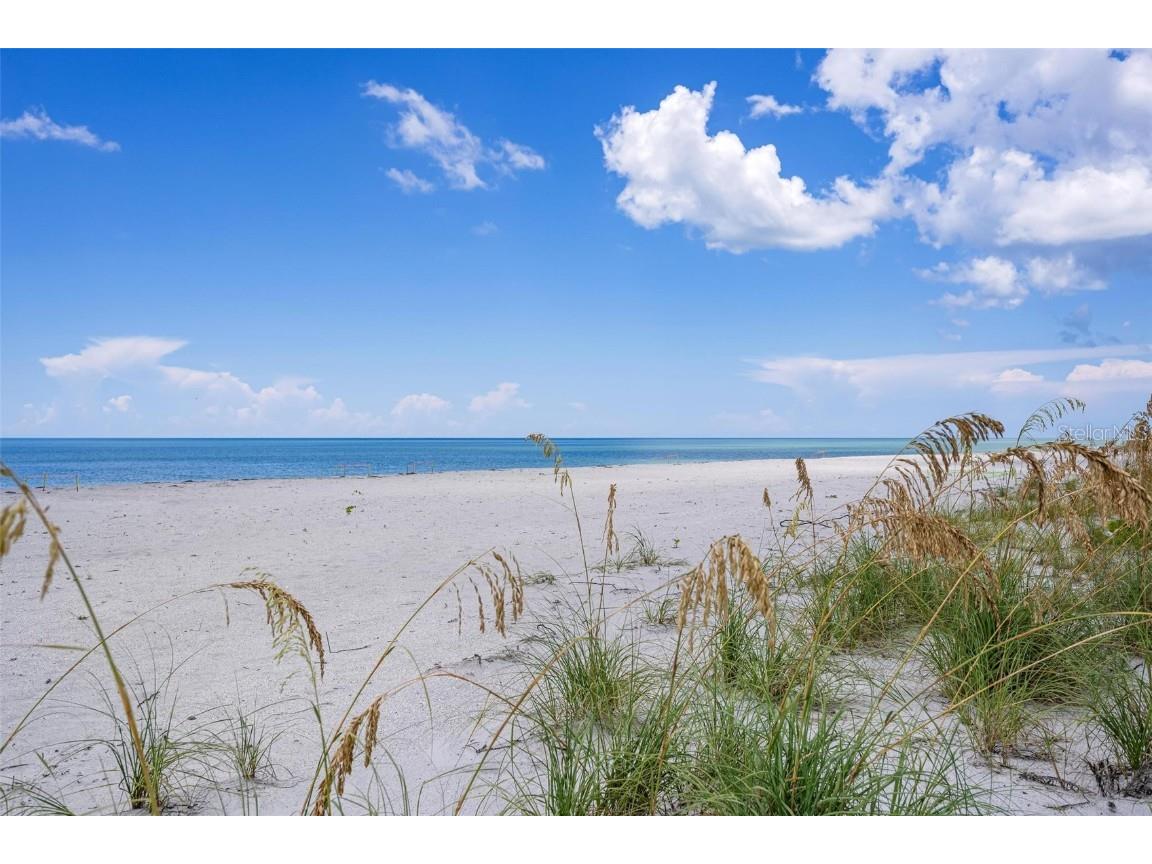51 N Gulf Boulevard Placida FL 33946 - OLD BOCILLA PASS C7513908 image57