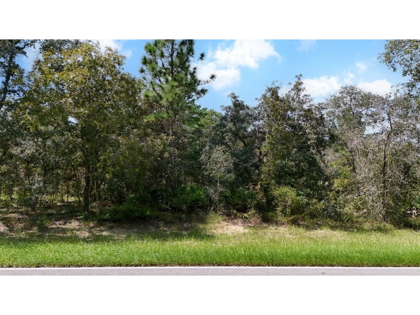 51 Oak Village Boulevard Homosassa FL 34446 OM691083 image1