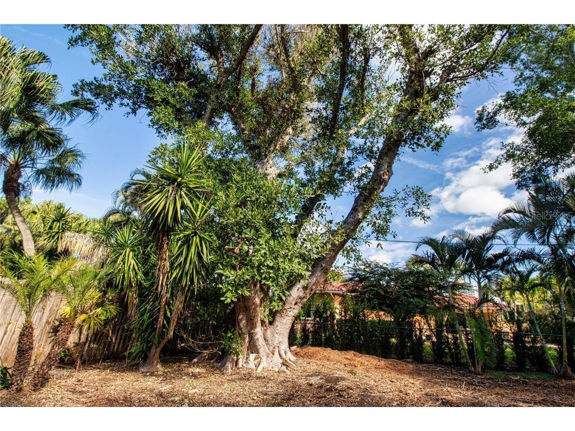 51 S Adams Drive Sarasota FL 34236 A4671523 image12