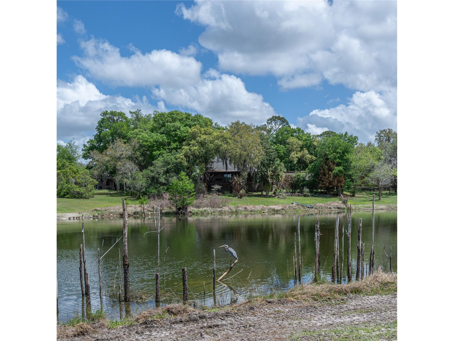 51 Spruce Lane Debary FL 32713 O6397082 image3