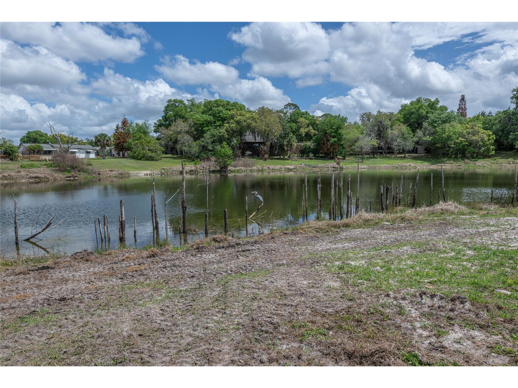 51 Spruce Lane Debary FL 32713 O6397082 image4