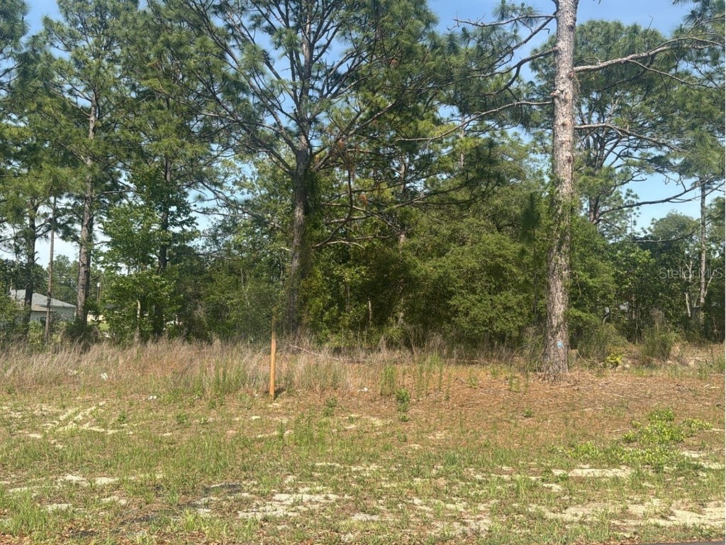 51 St Court Ocala FL 34473 S5127922 image1