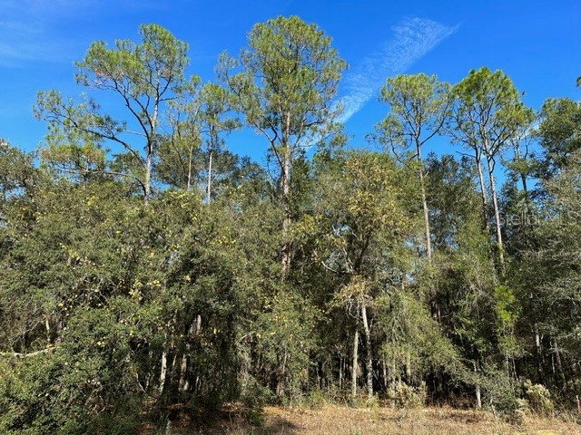 51 W Lynx Drive Citrus Springs FL 34434 OM668770 image1