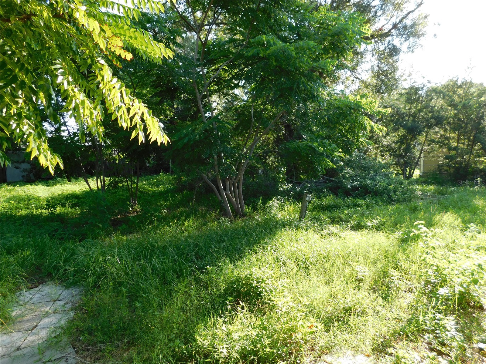 510 6th Avenue NW Largo FL 33770 TB8532350 image6