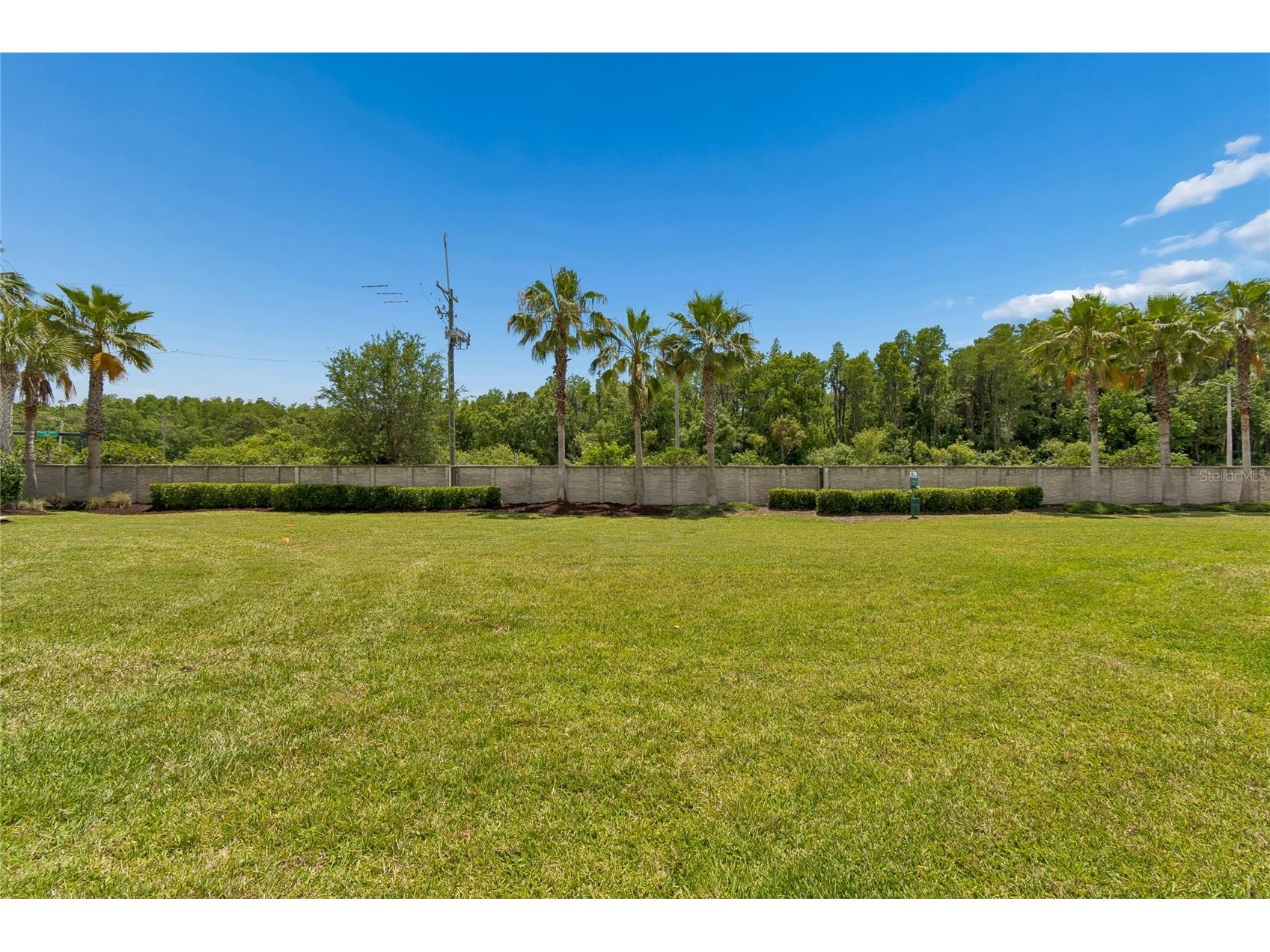 510 Cabernet Way Oldsmar FL 34677 TB8506118 image37