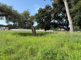 510 Calhoun Avenue Seffner FL 33584 TB8402494 image1