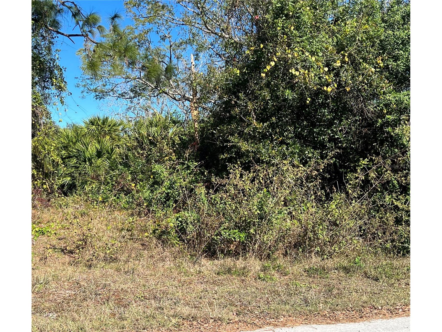 510 Calliandra Drive Indian Lake Estates FL 33855 - WALK IN WATER S5118747 image4