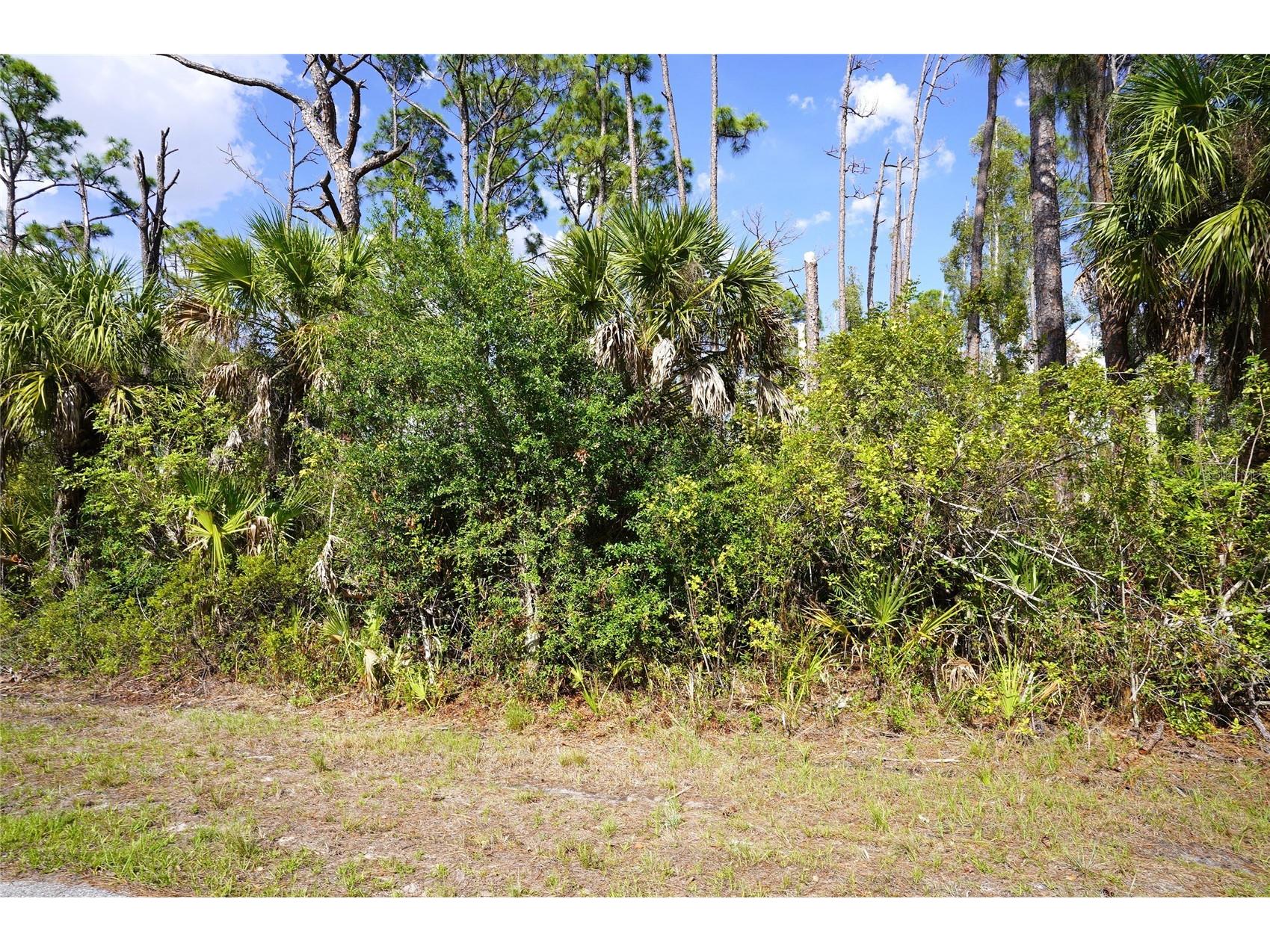 510 Dailey Street Port Charlotte FL 33953 C7526494 image1