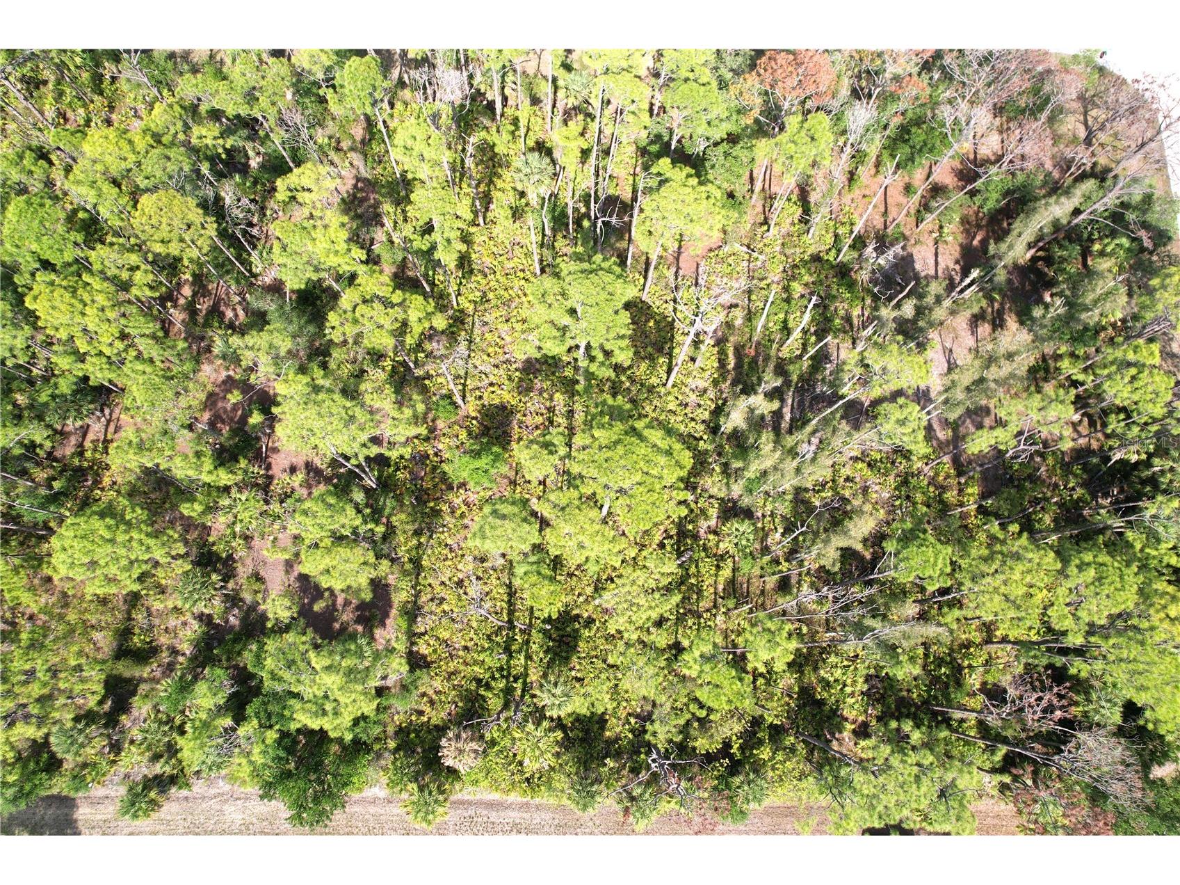 510 Dailey Street Port Charlotte FL 33953 C7526494 image10