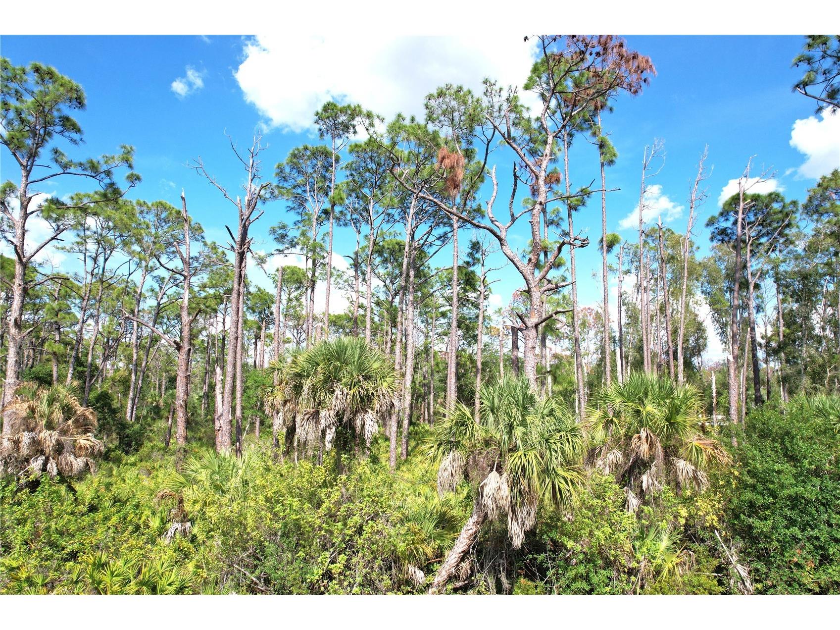 510 Dailey Street Port Charlotte FL 33953 C7526494 image12