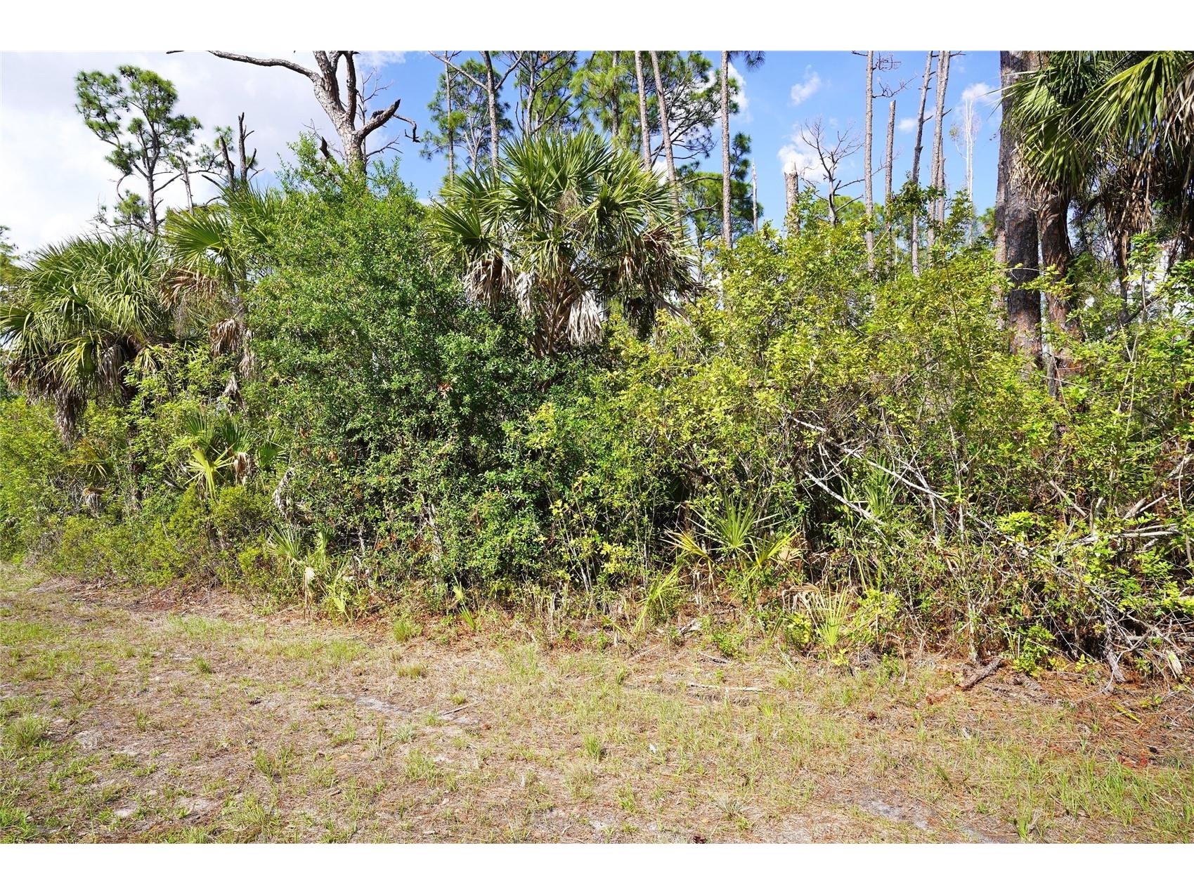 510 Dailey Street Port Charlotte FL 33953 C7526494 image2
