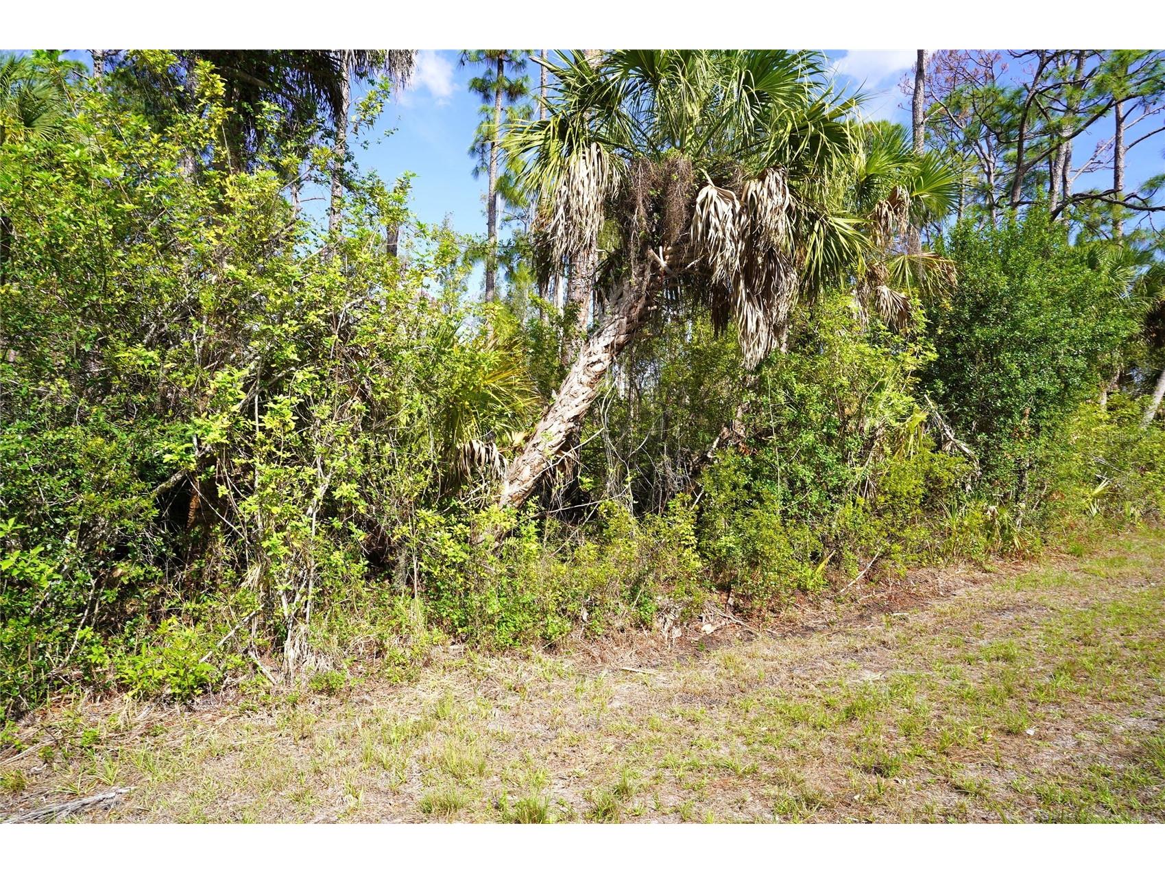 510 Dailey Street Port Charlotte FL 33953 C7526494 image3