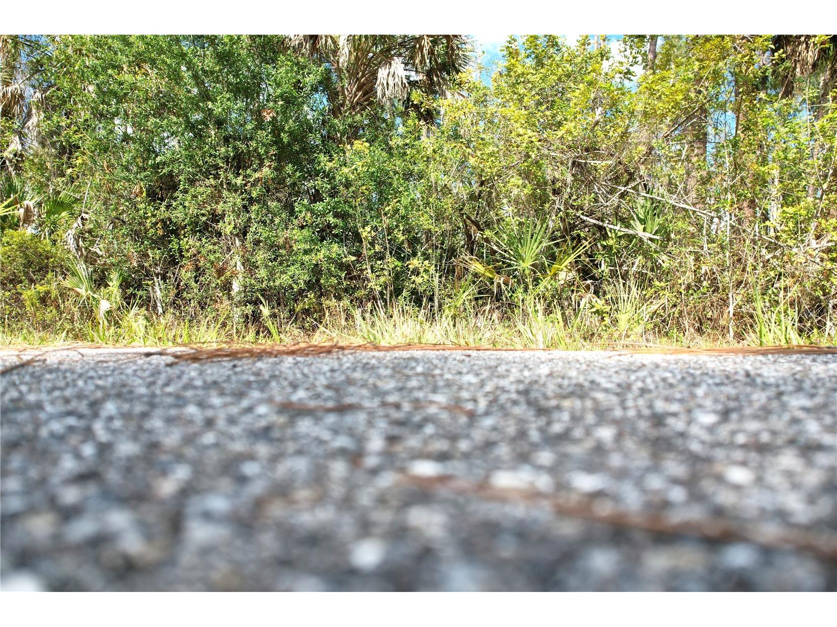 510 Dailey Street Port Charlotte FL 33953 C7526494 image5
