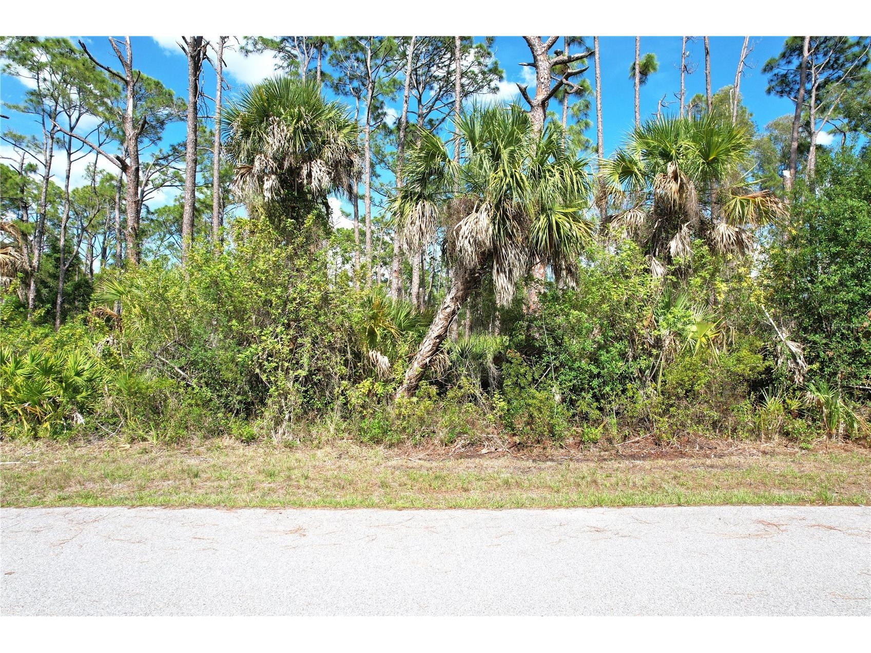 510 Dailey Street Port Charlotte FL 33953 C7526494 image6