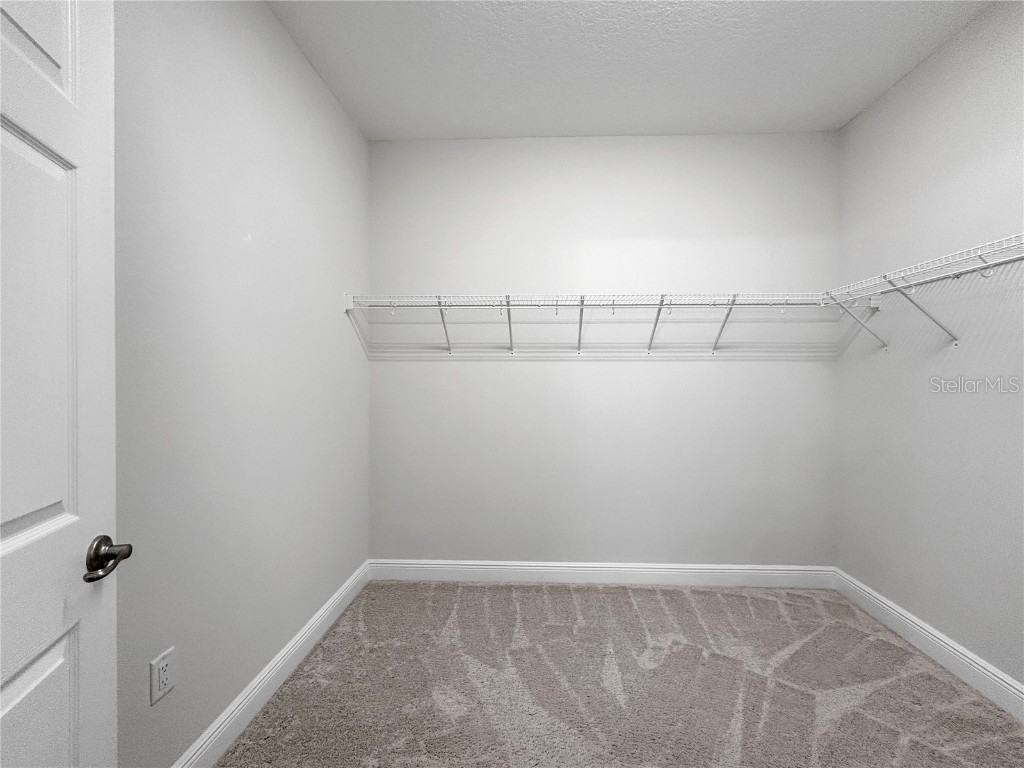 510 Douglas Place Dunedin FL 34698 TB8427473 image10