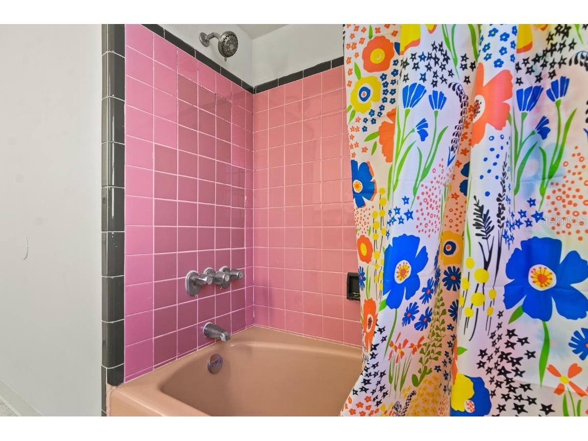 510 E Robles Street Tampa FL 33602 TB8429168 image30