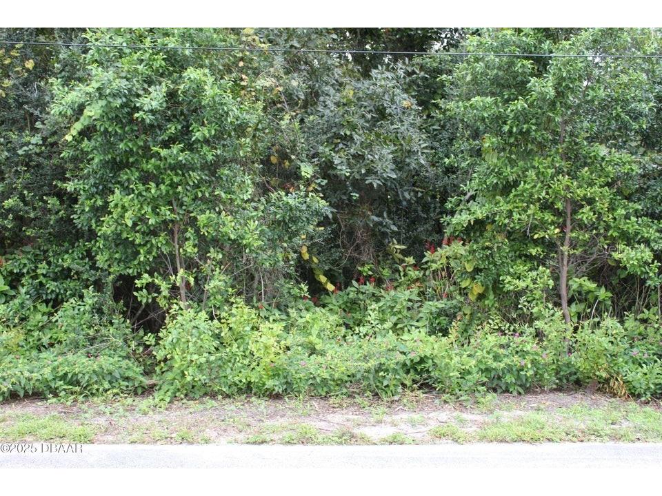 510 Fred Gamble Way Ormond Beach FL 32174 V4944654 image1