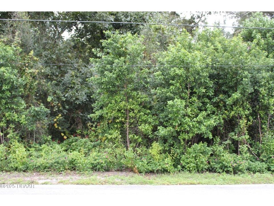 510 Fred Gamble Way Ormond Beach FL 32174 V4944654 image2