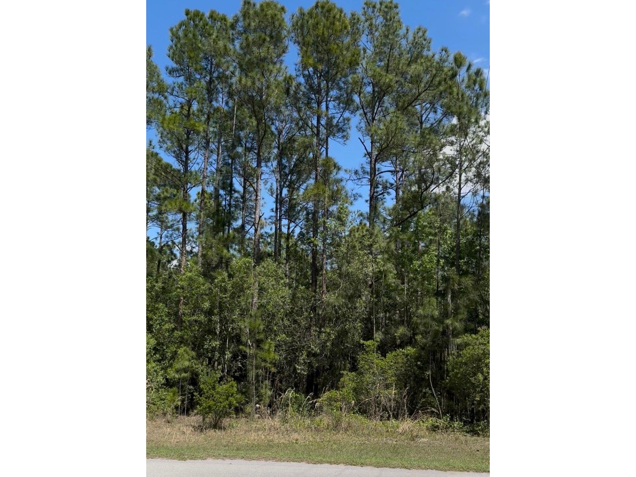 510 Hidden Palms Drive Davenport FL 33897 L4960427 image1