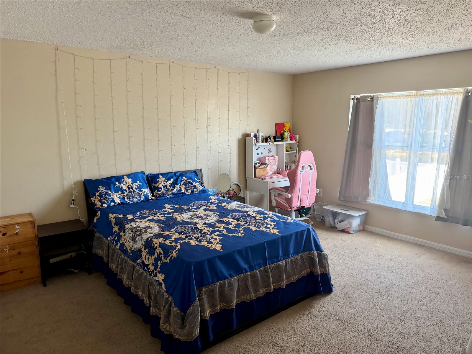 510 Lobelia Drive Davenport FL 33837 O6409101 image16