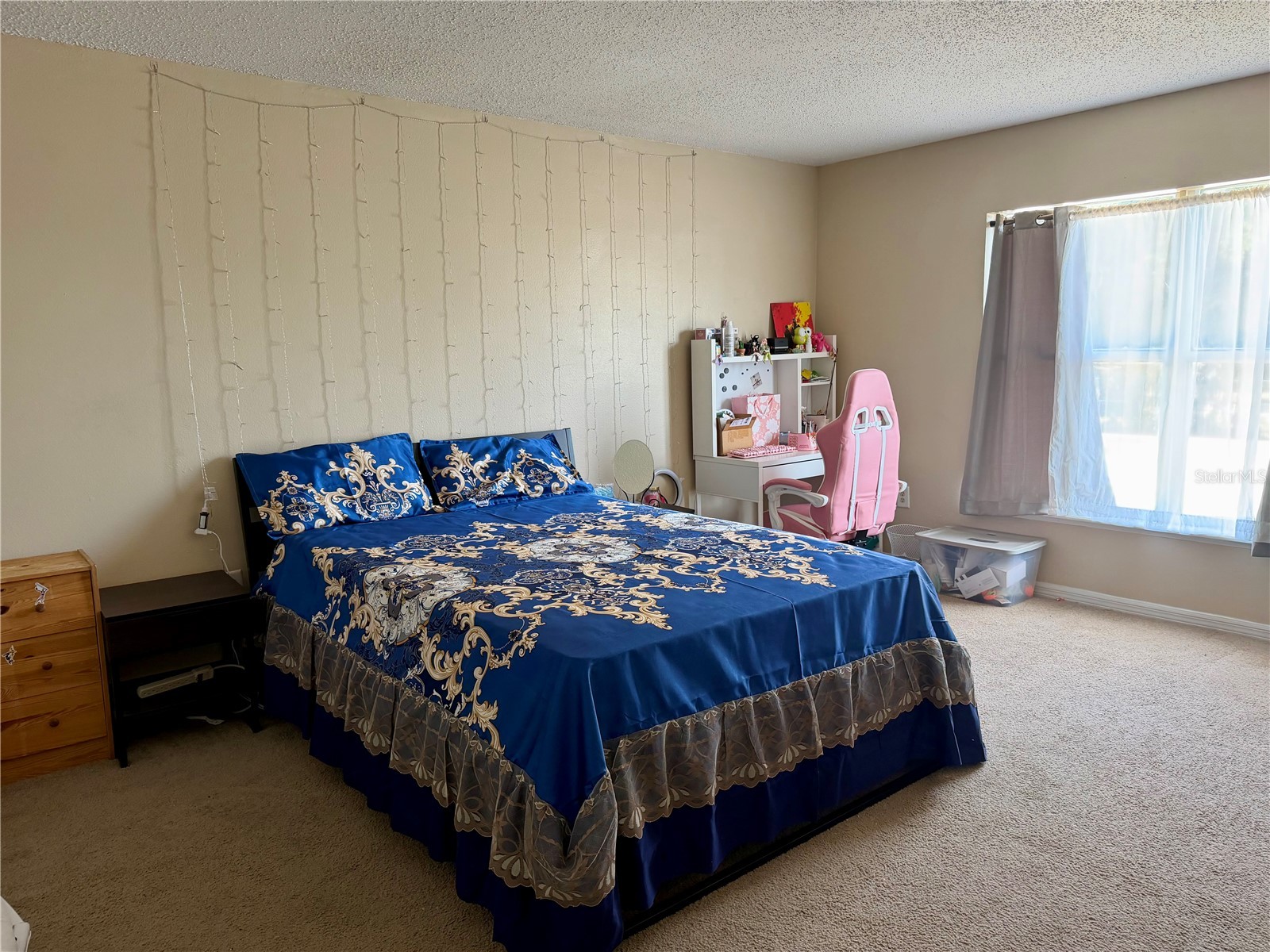 510 Lobelia Drive Davenport FL 33837 O6409101 image18