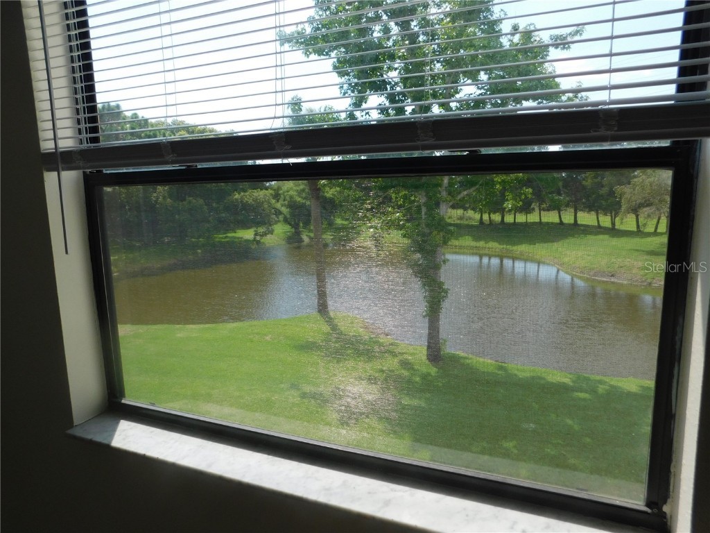 510 Meadow Lane #510 Oldsmar FL 34677 TB8441698 image12