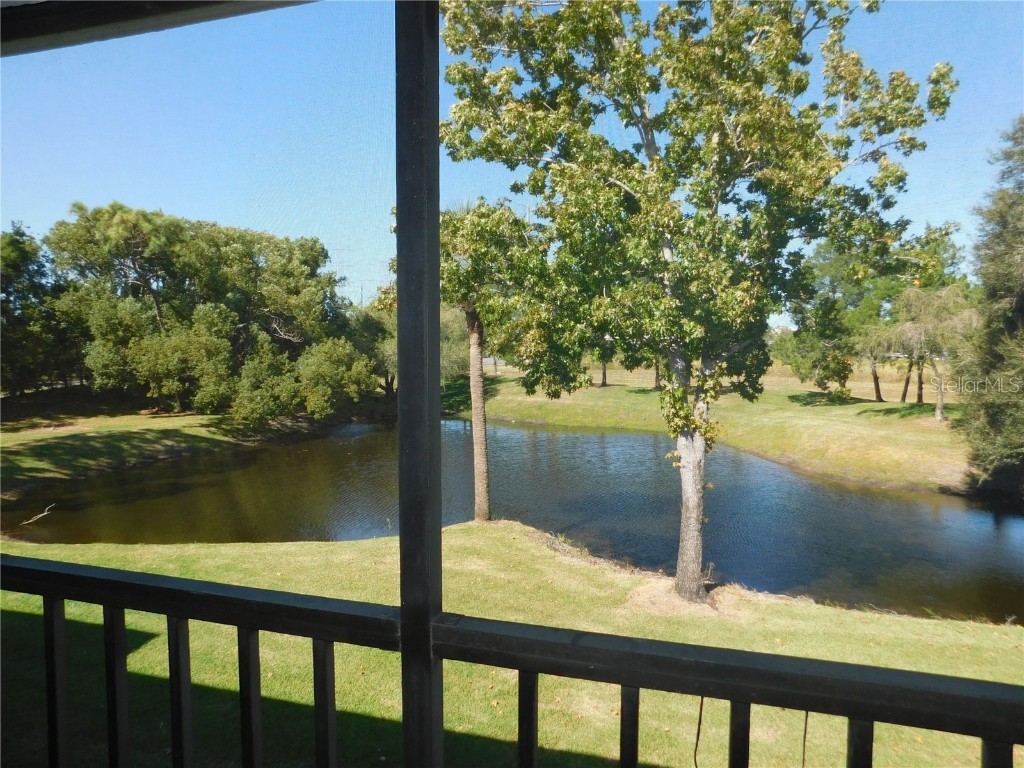 510 Meadow Lane #510 Oldsmar FL 34677 TB8441698 image21