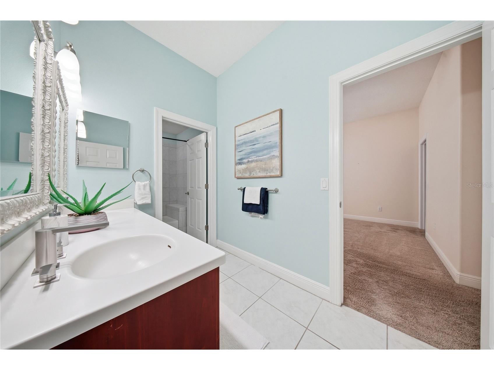 510 Mirabay Boulevard Apollo Beach FL 33572 TB8498562 image43