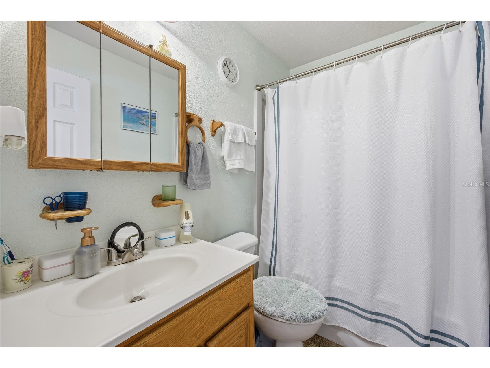 510 Palm Lane Ocala FL 34472 OM716333 image17