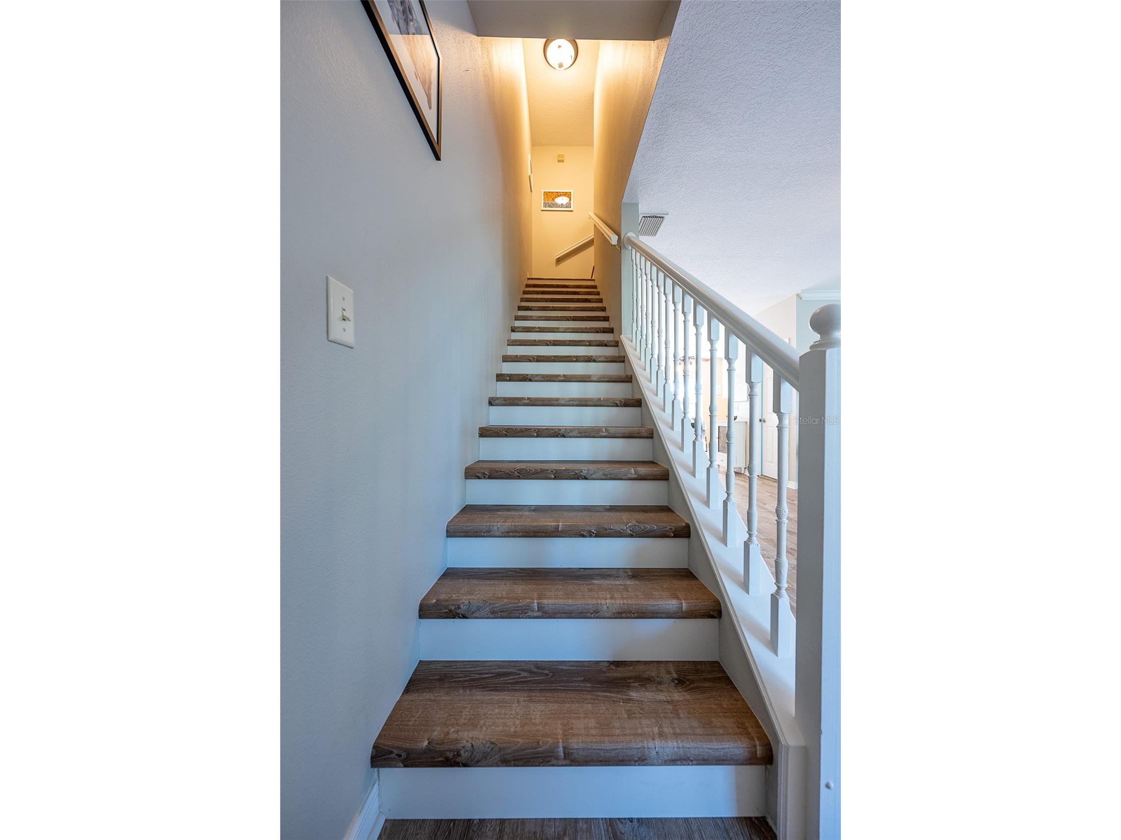 510 Ryans Woods Lane Palm Harbor FL 34683 TB8481728 image17