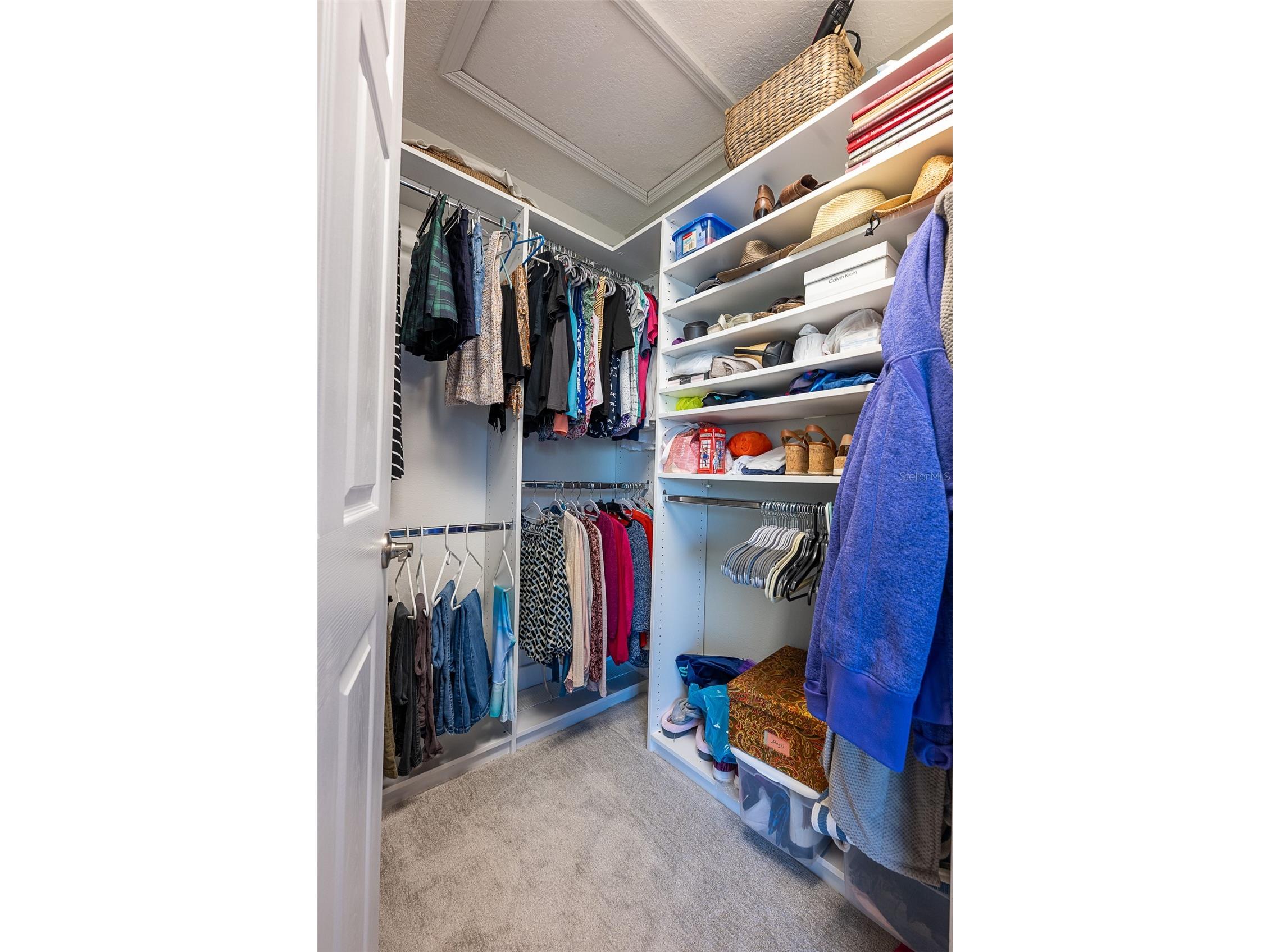 510 Ryans Woods Lane Palm Harbor FL 34683 TB8481728 image25