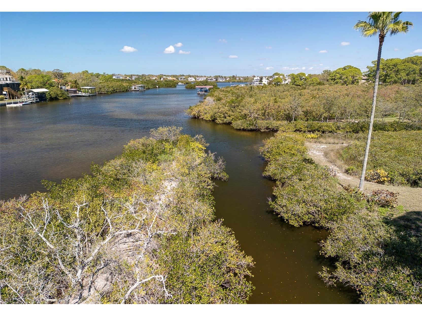 510 Ryans Woods Lane Palm Harbor FL 34683 TB8481728 image44