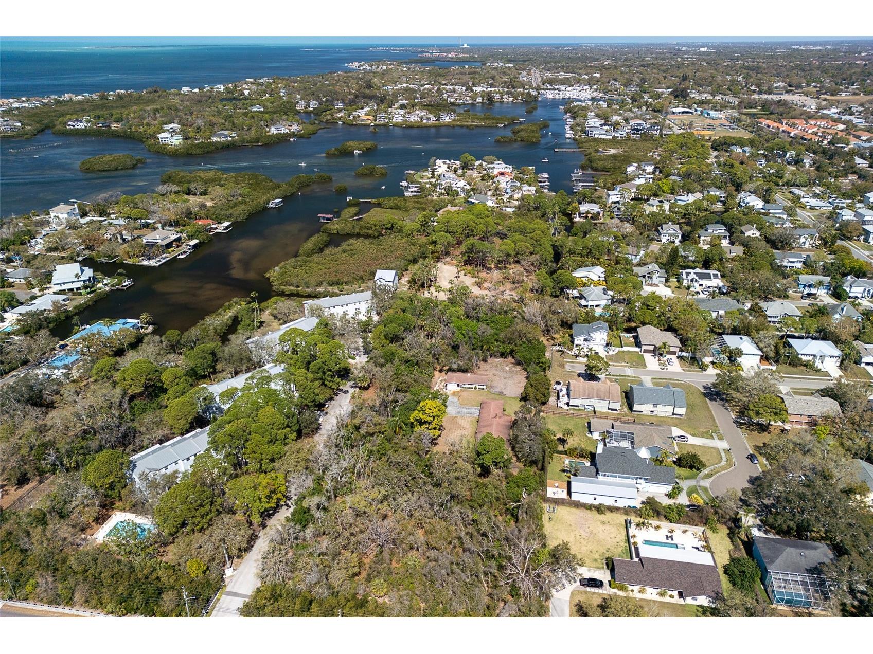 510 Ryans Woods Lane Palm Harbor FL 34683 TB8481728 image50