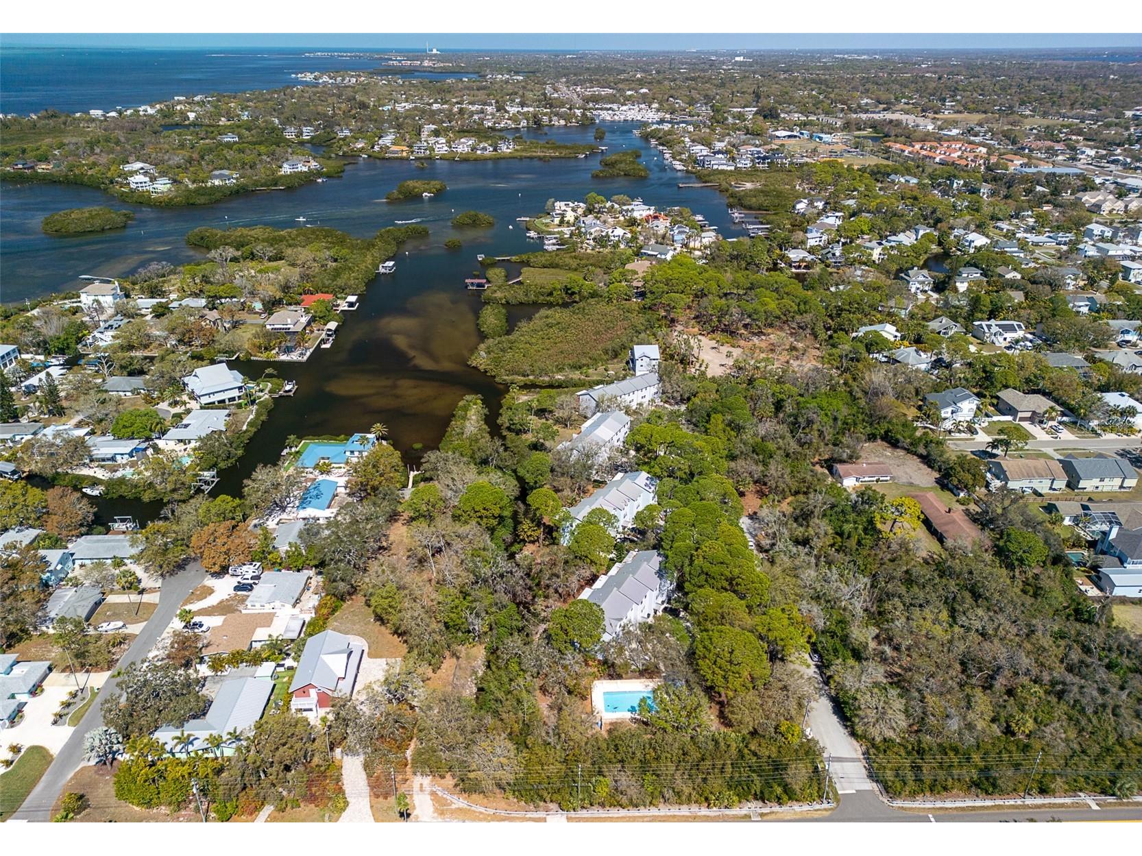 510 Ryans Woods Lane Palm Harbor FL 34683 TB8481728 image51