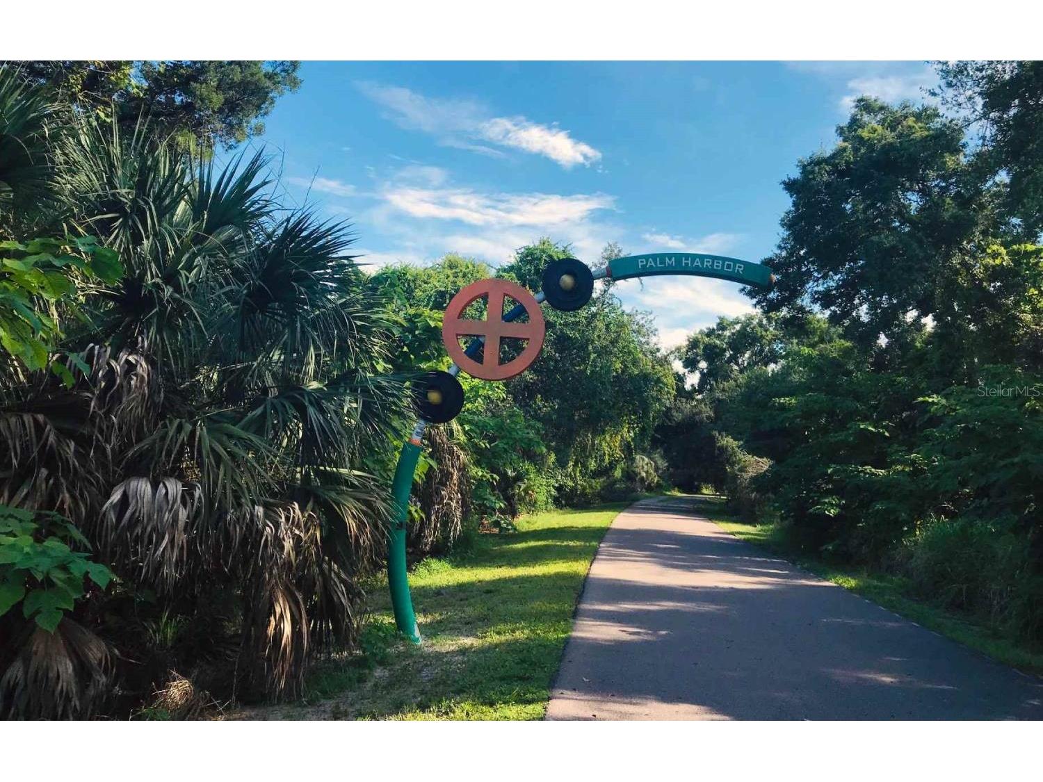 510 Ryans Woods Lane Palm Harbor FL 34683 TB8481728 image52