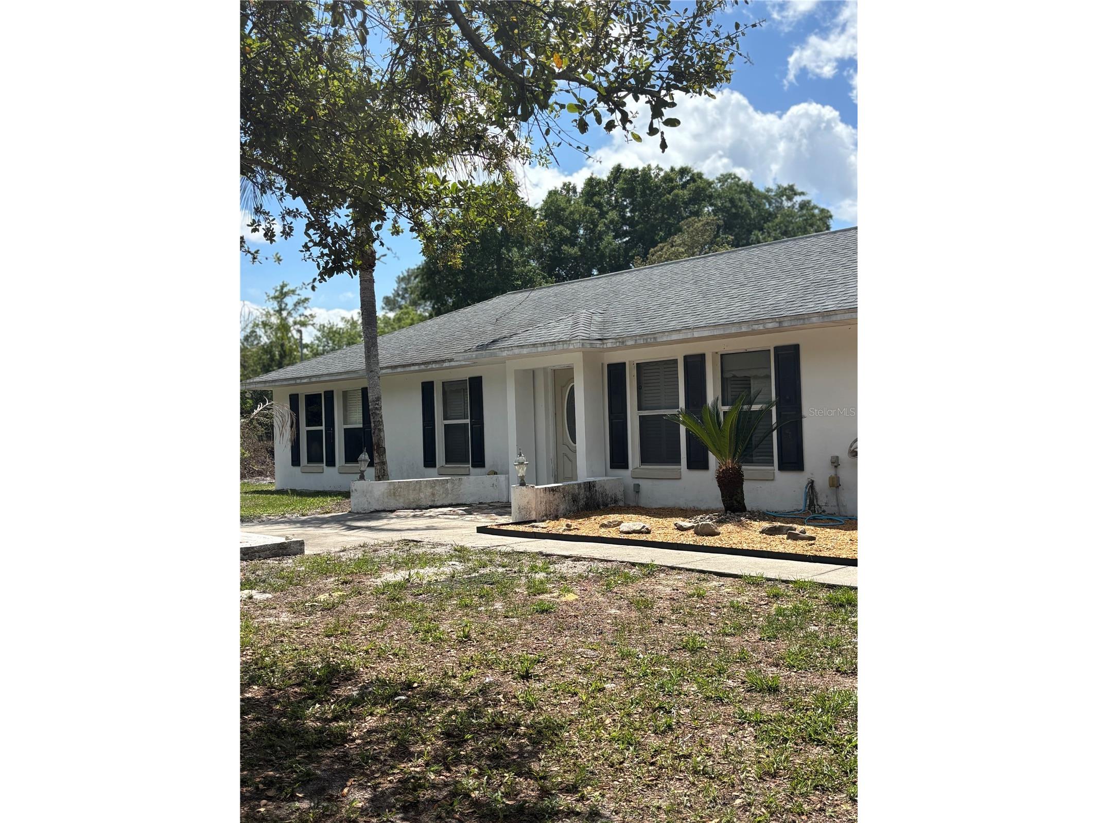 510 S Cedar Avenue Orange City FL 32763 V4948543 image1