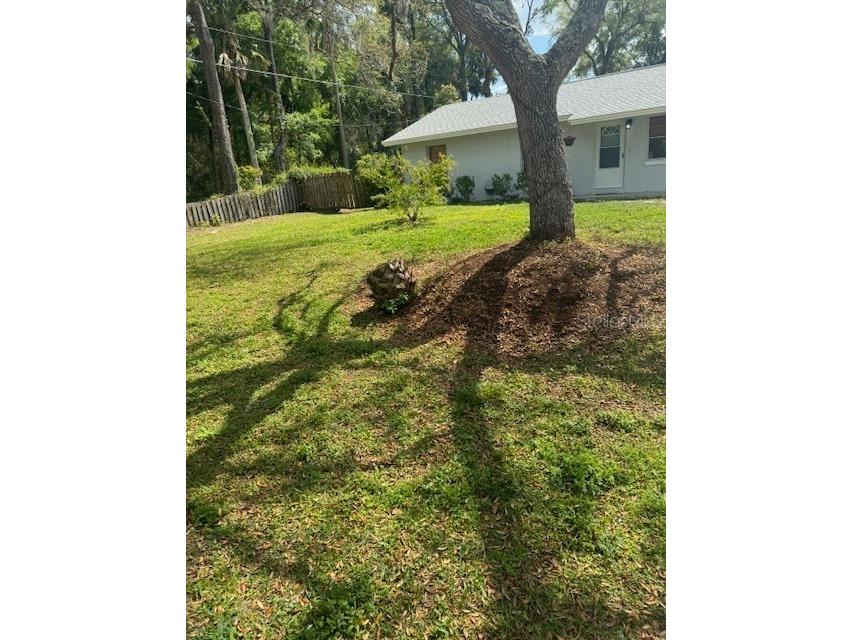 510 Sandy Pines Drive Orange City FL 32763 V4935056 image1