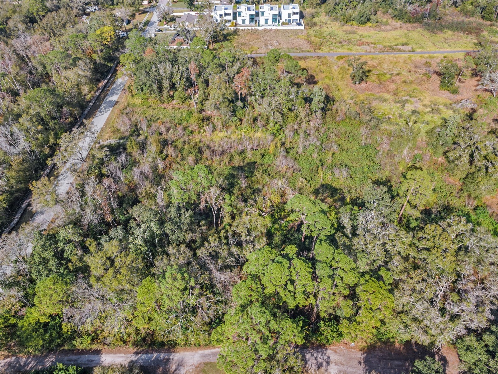 510 Skytrail Tampa FL 33625 TB8485413 image2