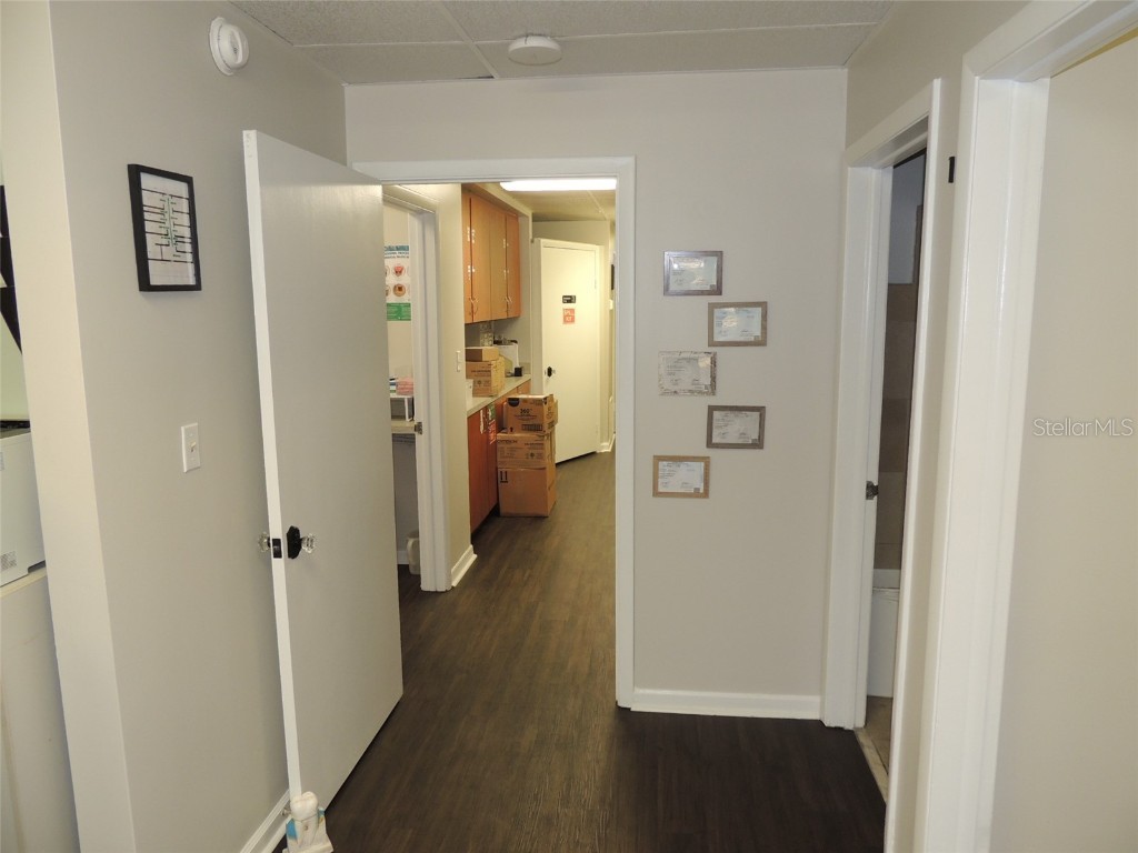 510 SW 5th Terrace #A Williston FL 32696 OM713557 image13