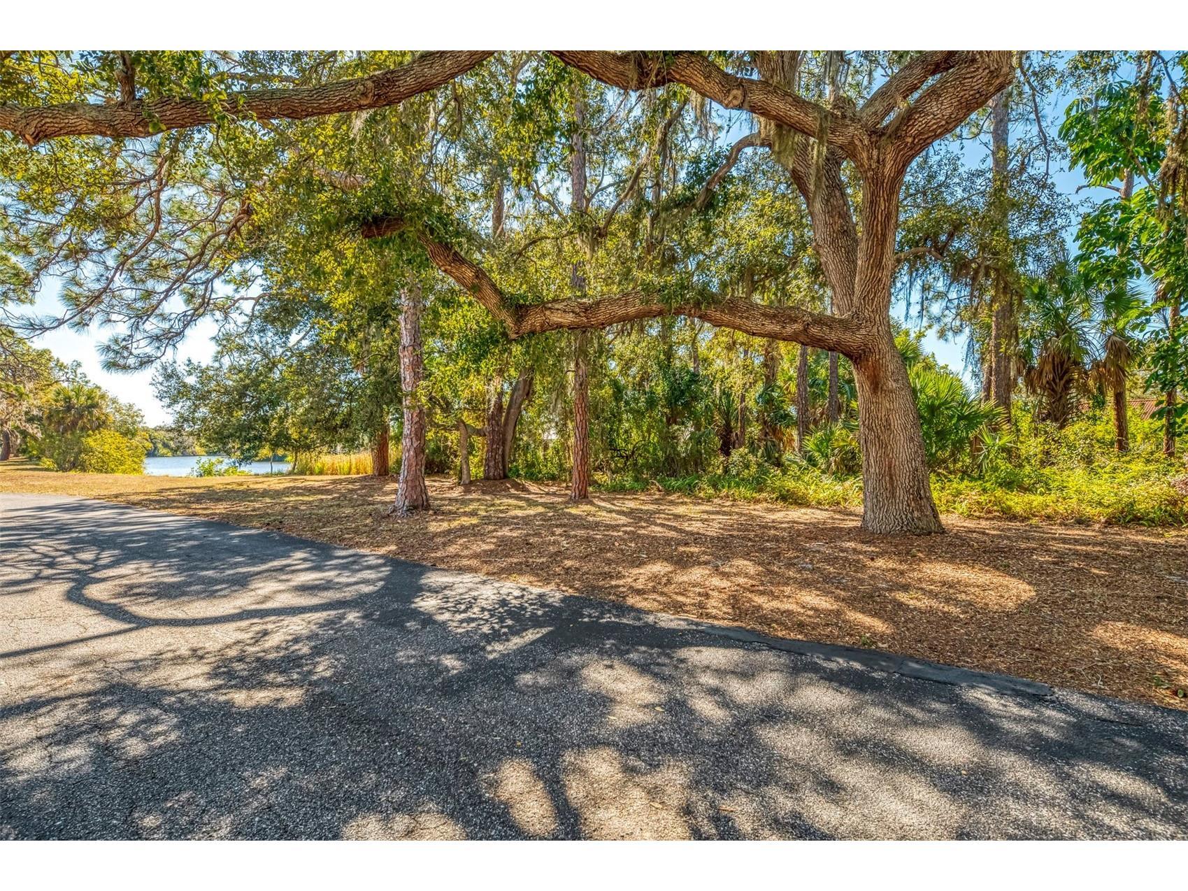 510 Villa Park Drive #510 Nokomis FL 34275 N6142730 image5