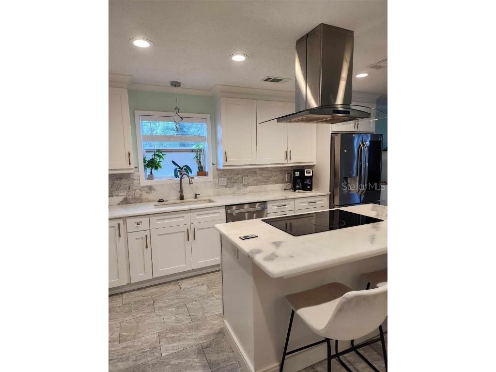 510 Wideview Avenue Tarpon Springs FL 34689 O6242759 image3