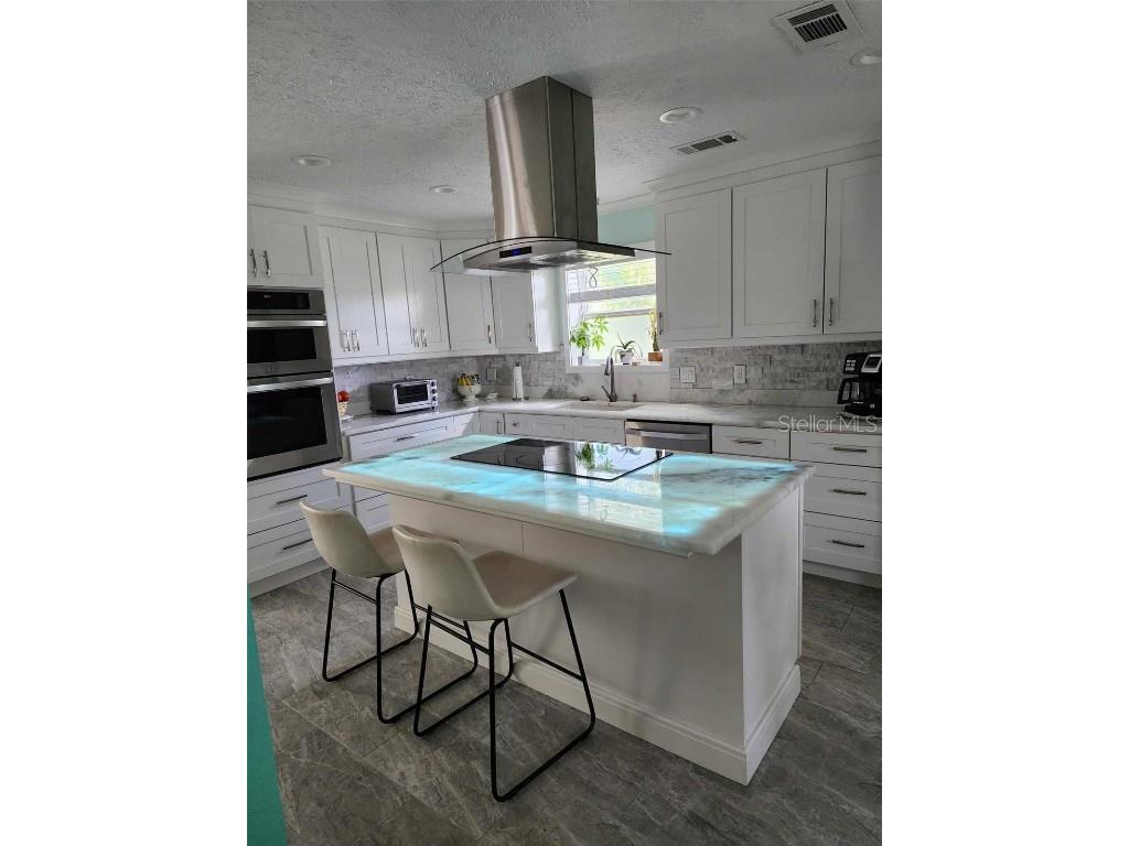 510 Wideview Avenue Tarpon Springs FL 34689 O6242759 image6