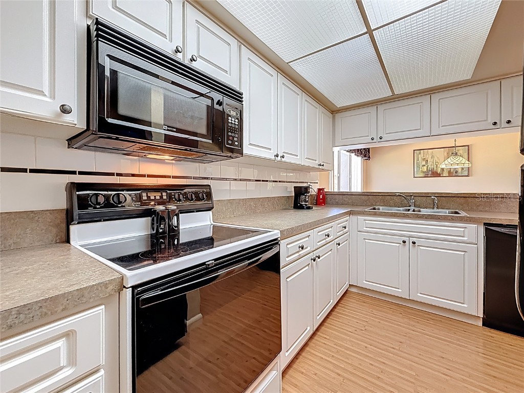 510 Windrush Bay Drive Tarpon Springs FL 34689 TB8442583 image13